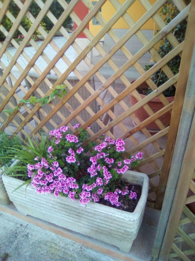 Bed and Breakfast Casa Te La Bradamante Magliano Экстерьер фото